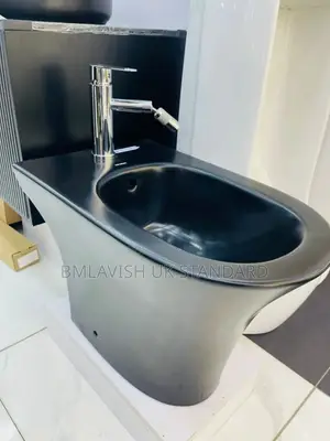 Black Back to Wall Bidet