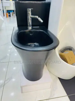 Black Back to Wall Bidet