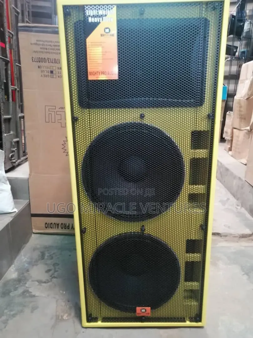 Double 15" Might Pro Audio Speaker