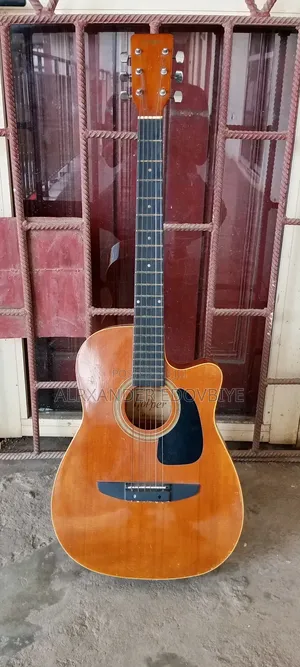 Hopper Professional Acoustic Guitar