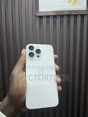 Apple iPhone 15 Pro Max 256 GB Silver