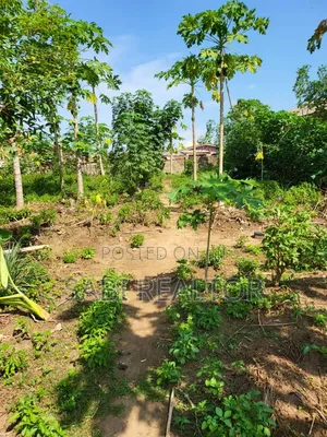 Land for Sale ● Standard Plot of Land in a Very Secured Mulmaco Estate