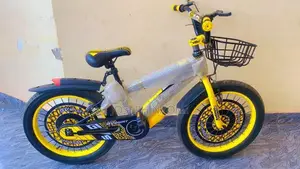Colorful Bike