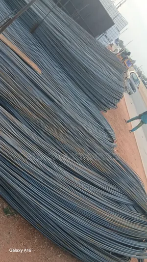 Major Distributor Lion and Tiger Reinforcement