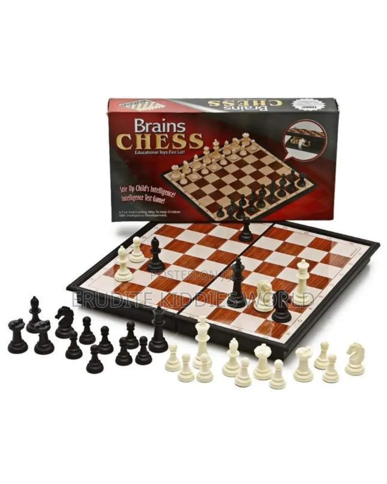 Magnetic Chess Board (Medium)