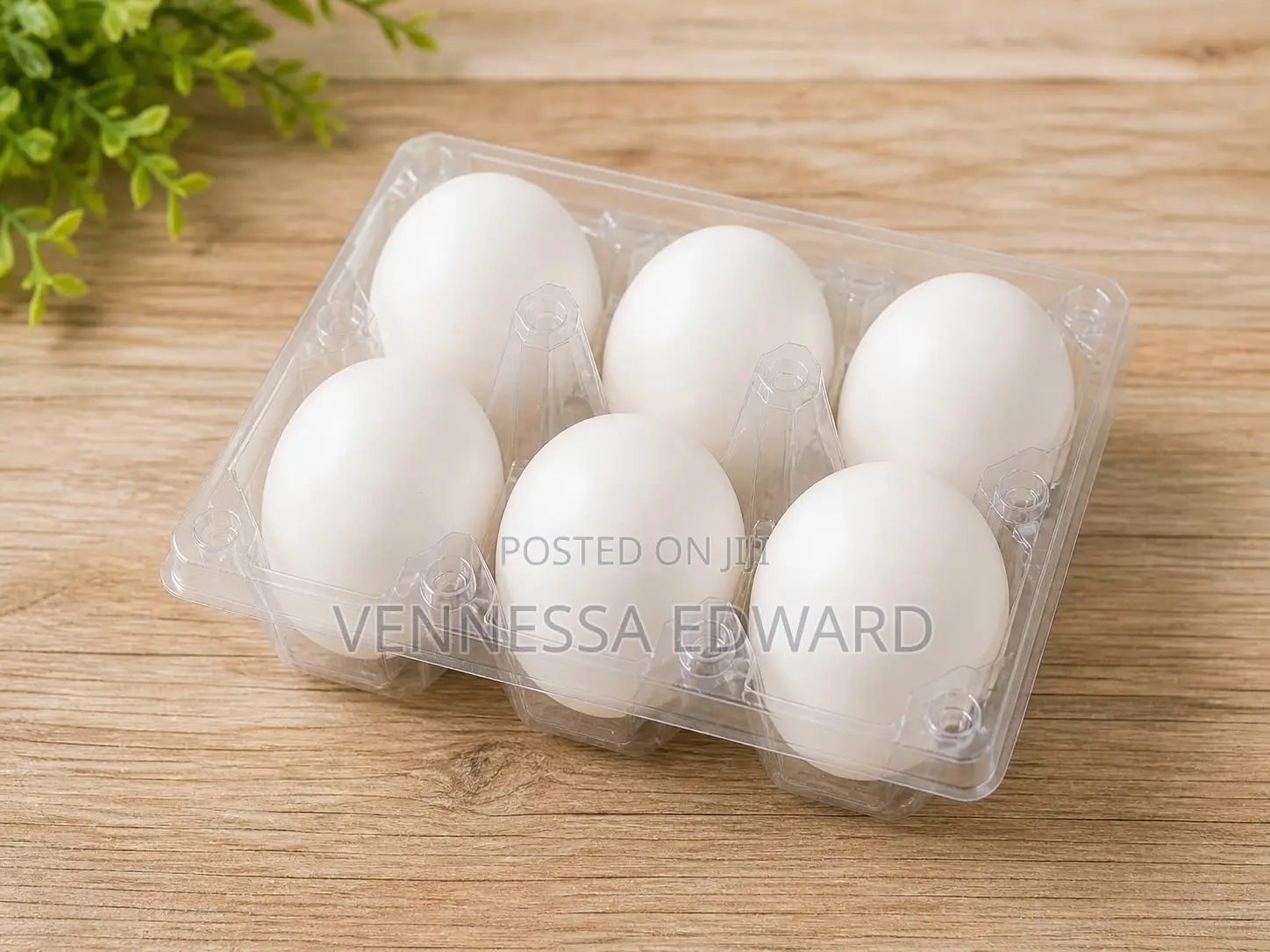 Fresh Farm Duck Eggs
