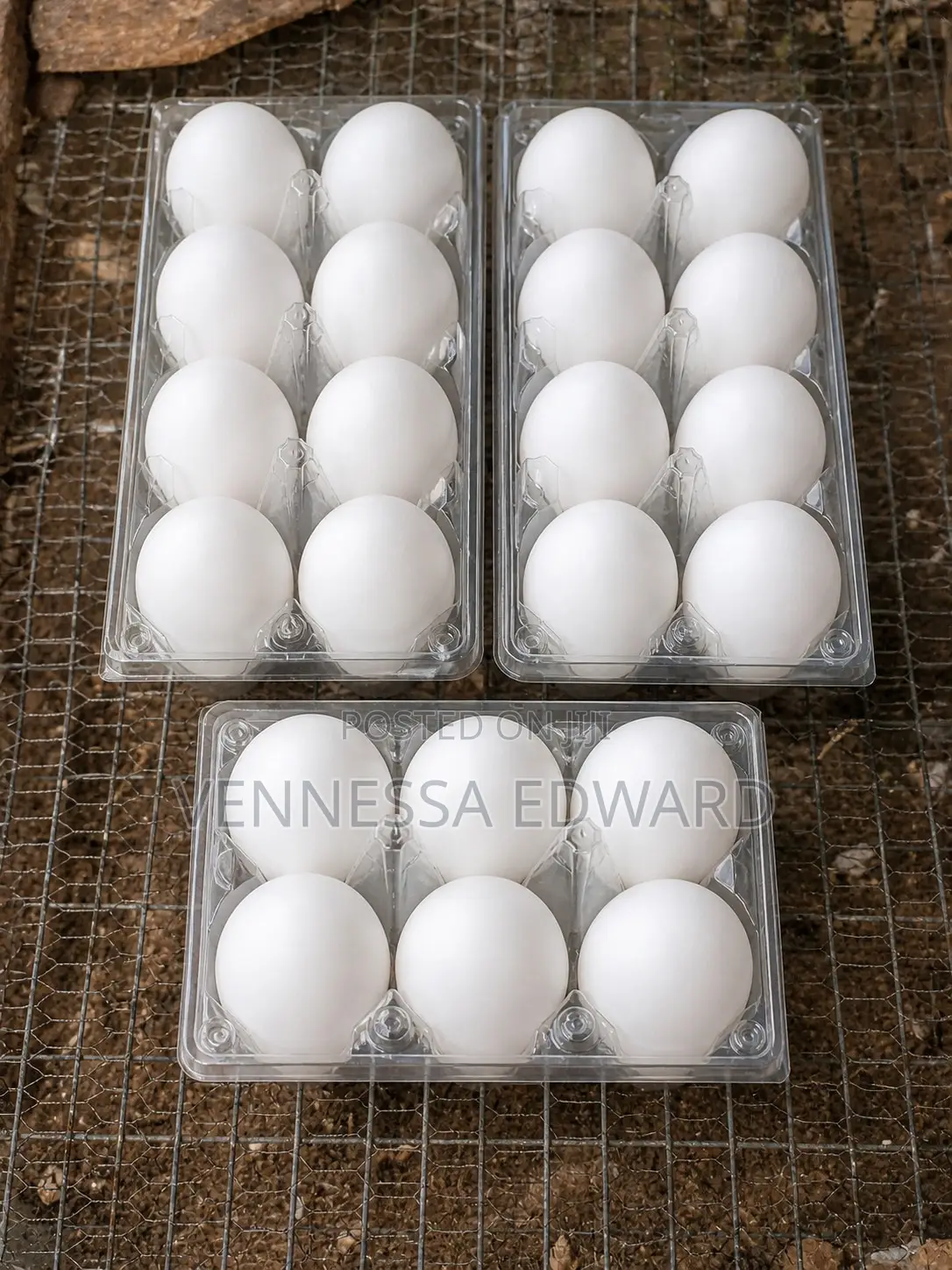 Fresh Farm Duck Eggs