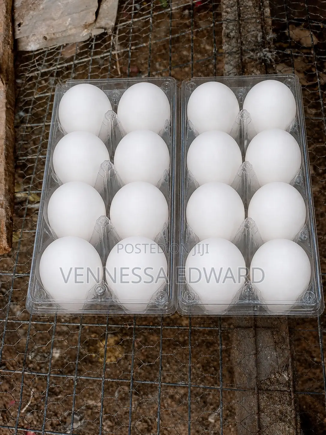 Fresh Farm Duck Eggs