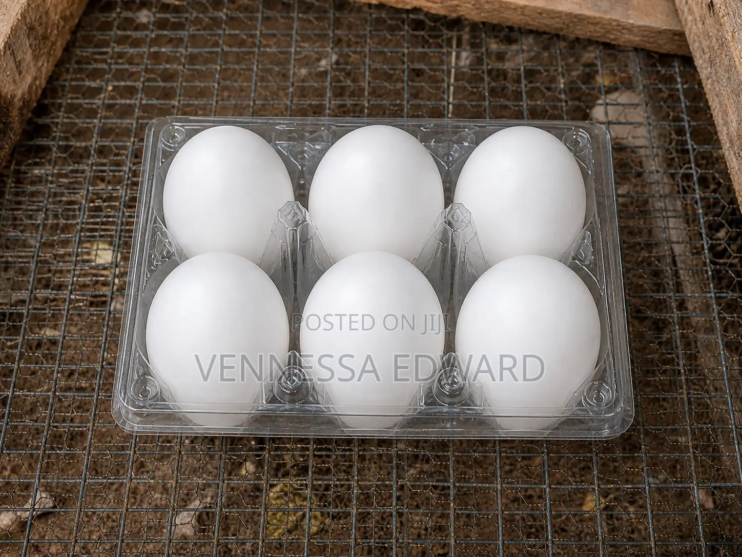 Fresh Farm Duck Eggs