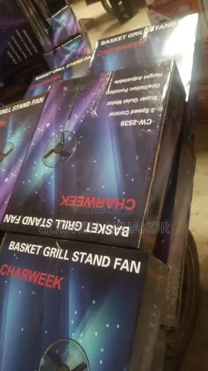 Cheer Week Fan
