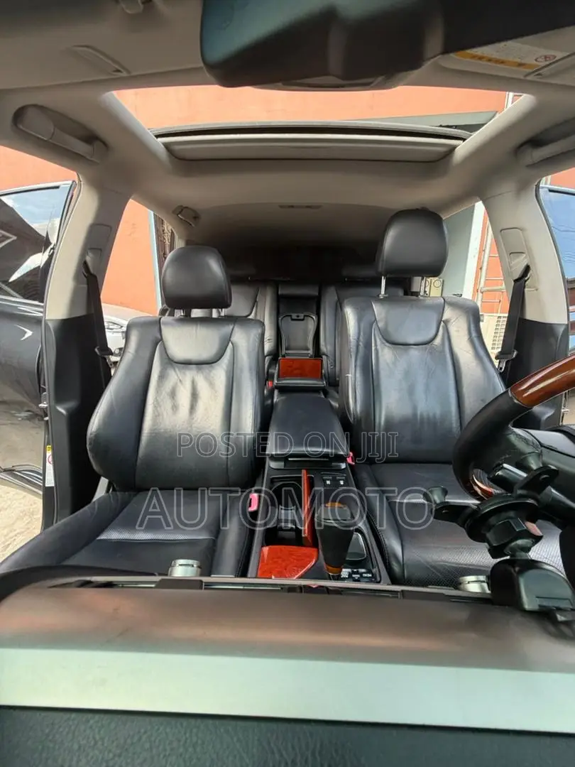 Lexus RX 350 2010 Gray