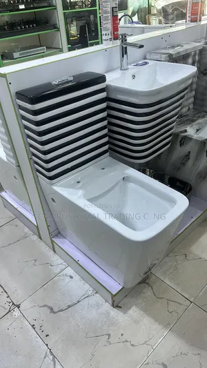 Executive Wc With Hanging Basin