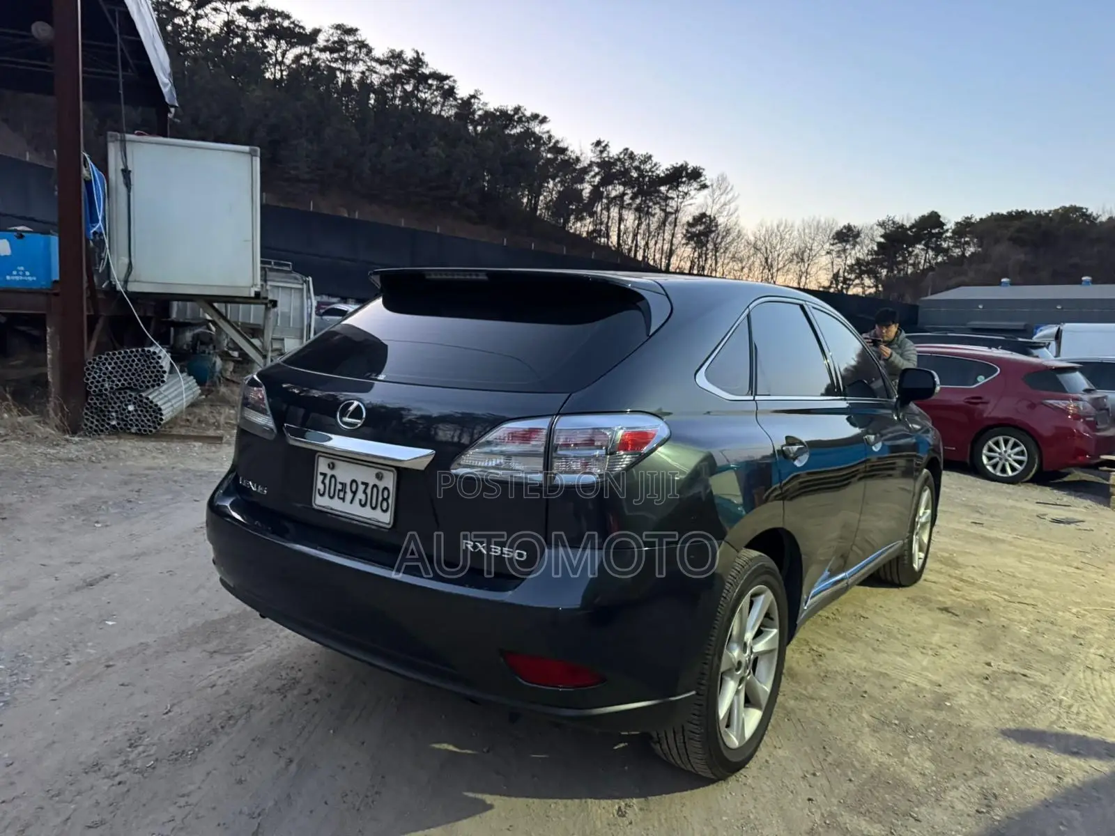 Lexus RX 350 2010 Gray