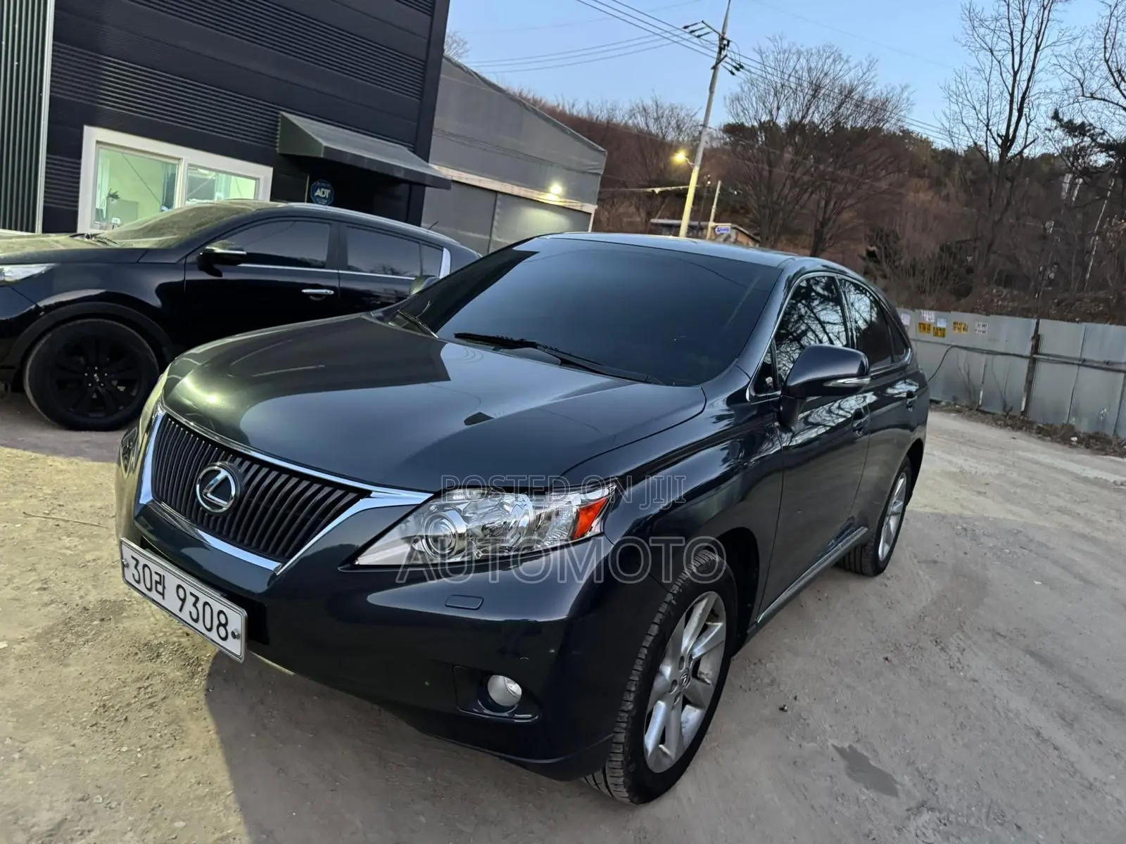 Lexus RX 350 2010 Gray
