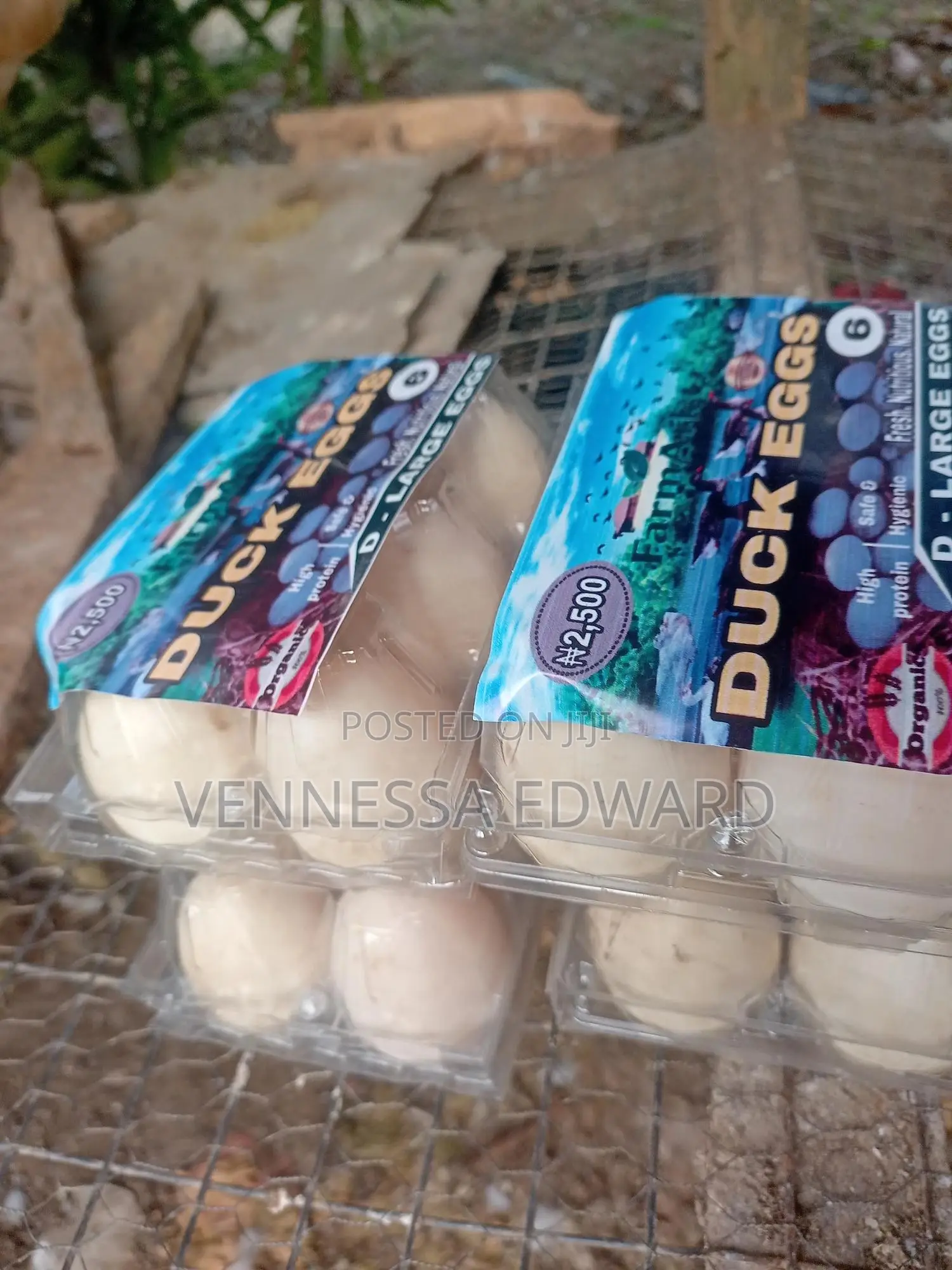 Fresh Farm Duck Eggs