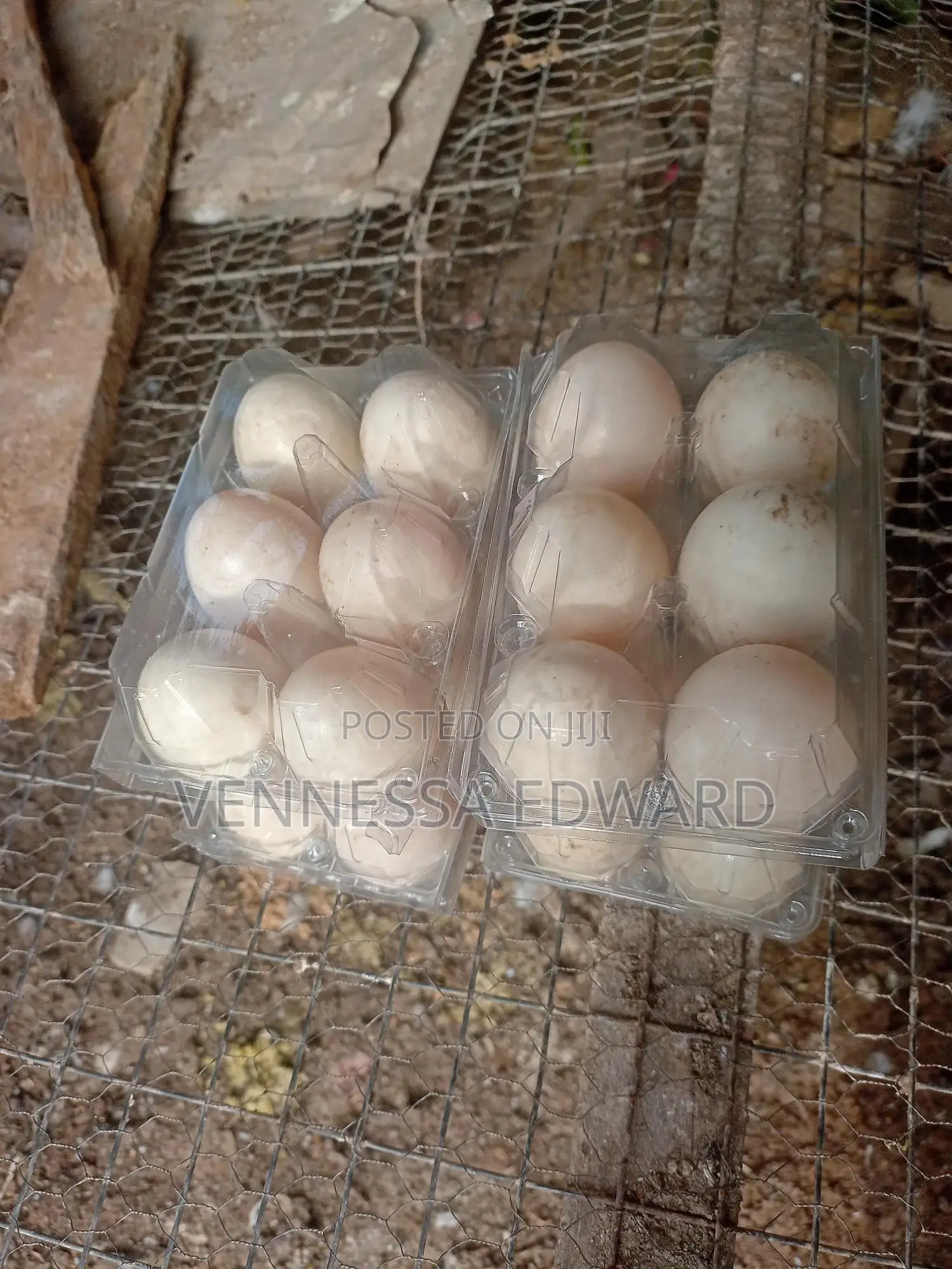 Fresh Farm Duck Eggs