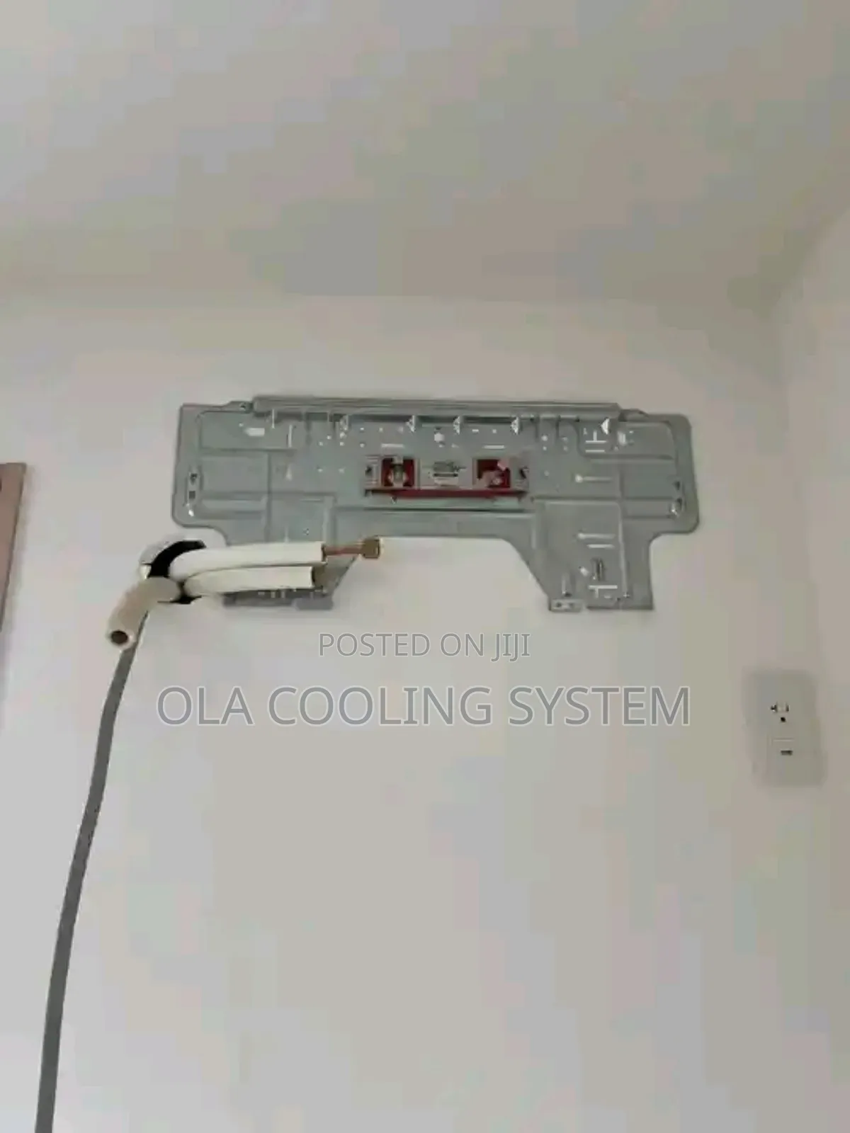 Professional Technician
