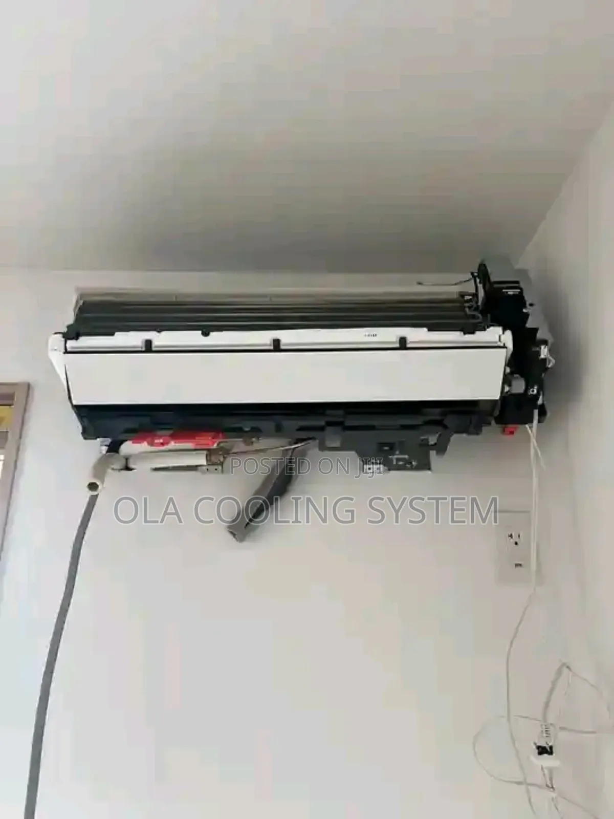 Professional Technician