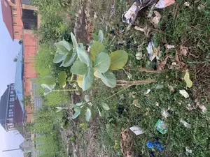 Land in a Good and Well Developed Area Close to Everything