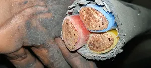240mm 3core Xlpe Armored Cable