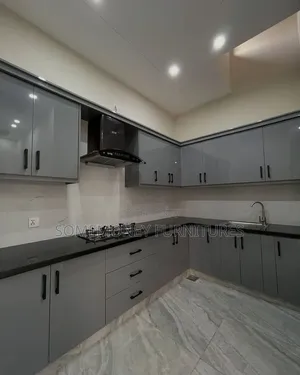 Standard Kitchen Cabinet