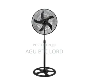 Standing Fan