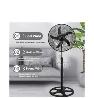 Standing Fan