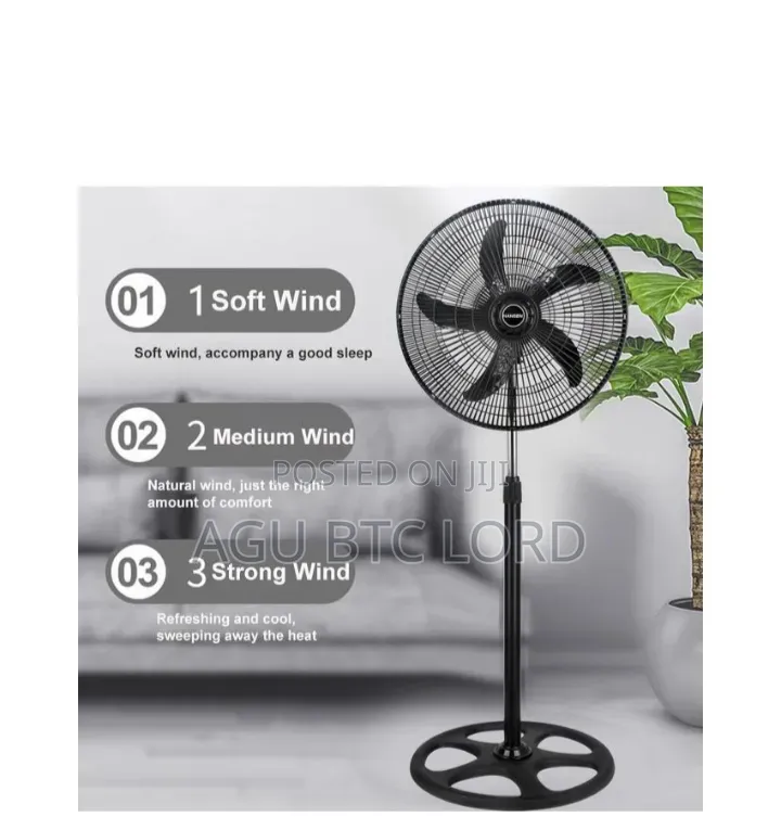 Standing Fan