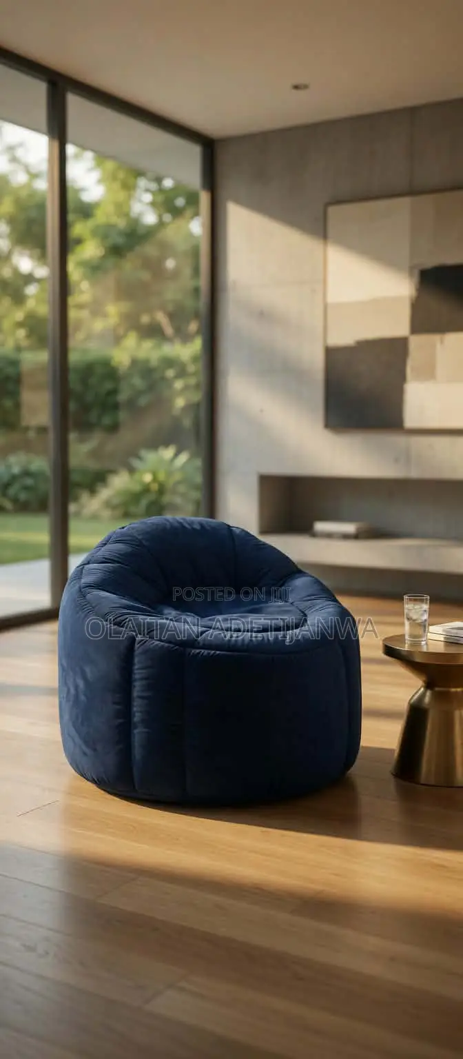 Home and Office Sofa Frameless Chair