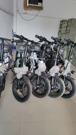 Electric Bicycle