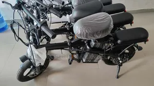Electric Bicycle