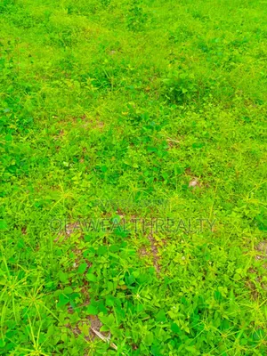 2,151sqm Residential Plot at Guzape Main