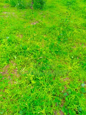 2,370sqm Residential Plot at Asokoro Main