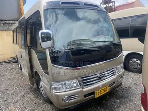 Toyota Coaster 2017 Brown