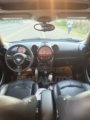 Mini Mini 2014