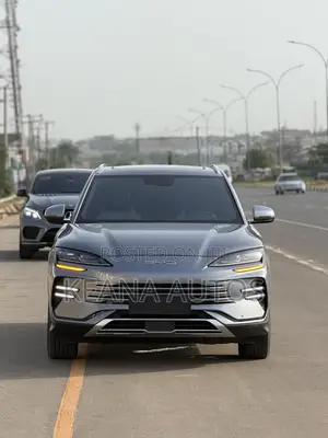 BYD Qin Plus DM-i 2025 Gray