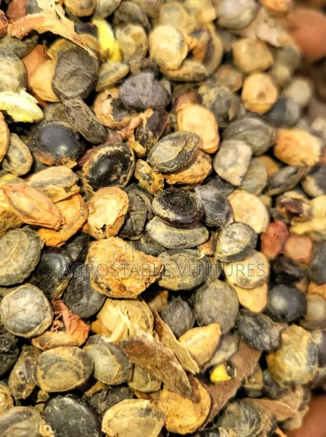 Locust Beans