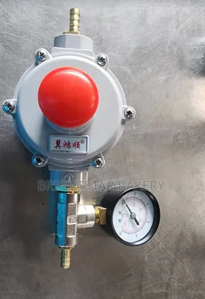 Low Pressure Gas Regulator Wit Guard Timer for Industrial Oven