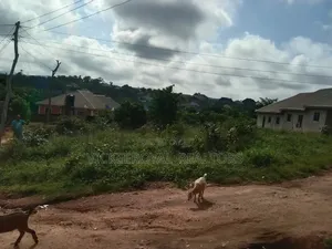 A Well Developed Plot of Land