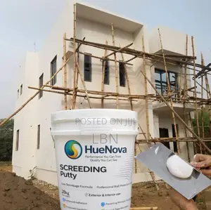 Waterproof Wall Putty Nigeria | Stop Dampness Wall Damage