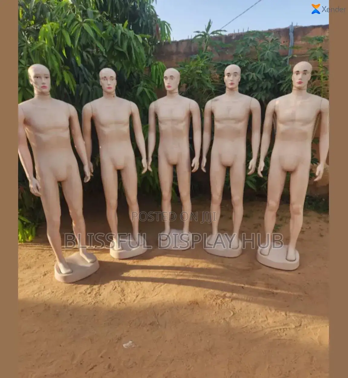 Male Mannequin