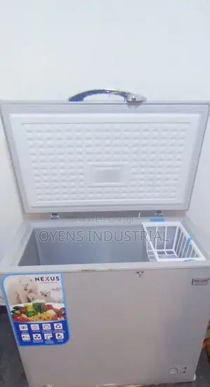 Nexus Freezer 265l