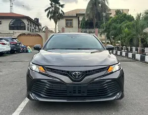 Toyota Camry LE (2.5L 4cyl 8A) 2019 Gray
