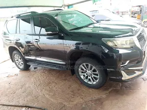 Prado for Hire