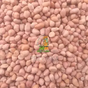 100kg Groundnut