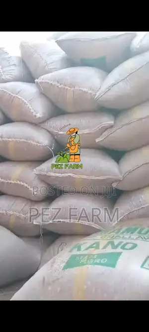 100kg Groundnut