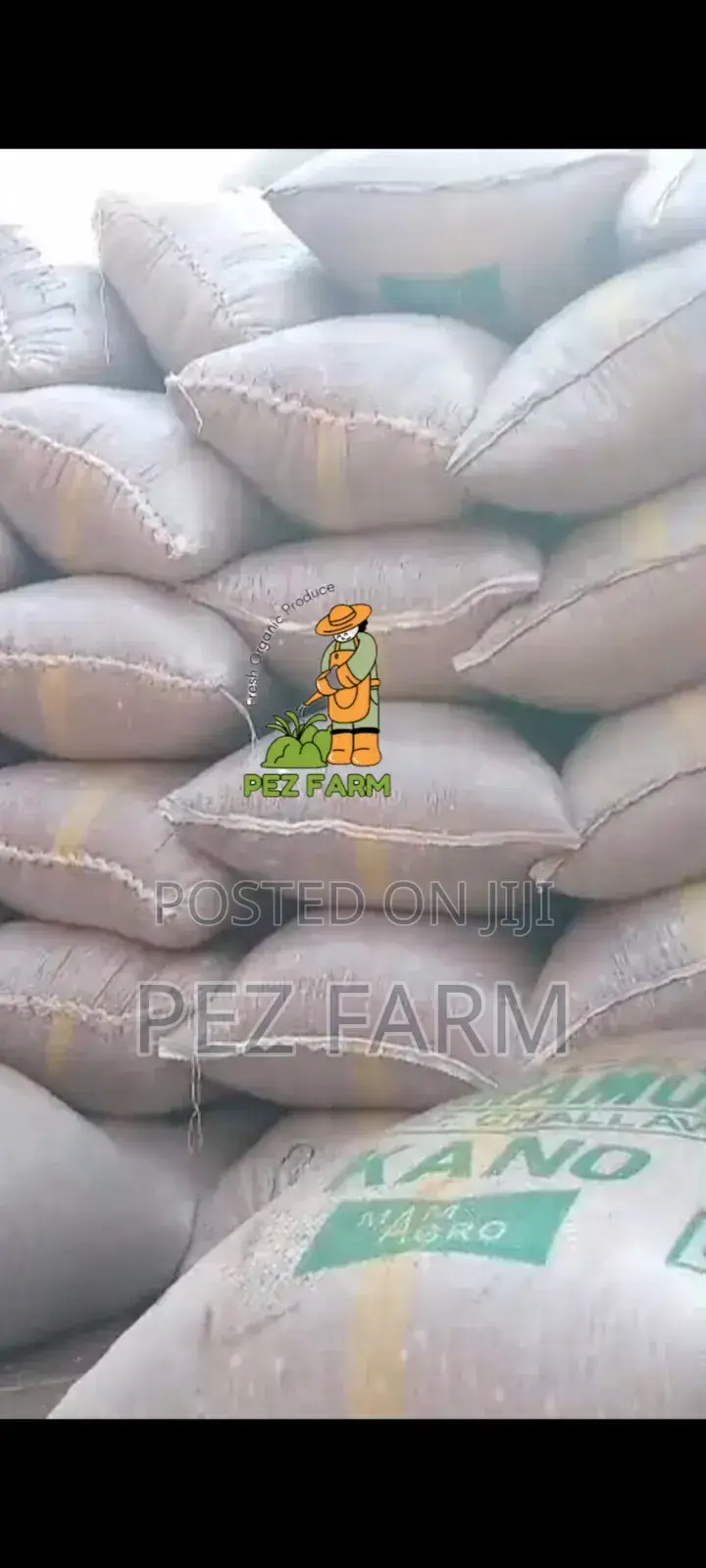 100kg Groundnut