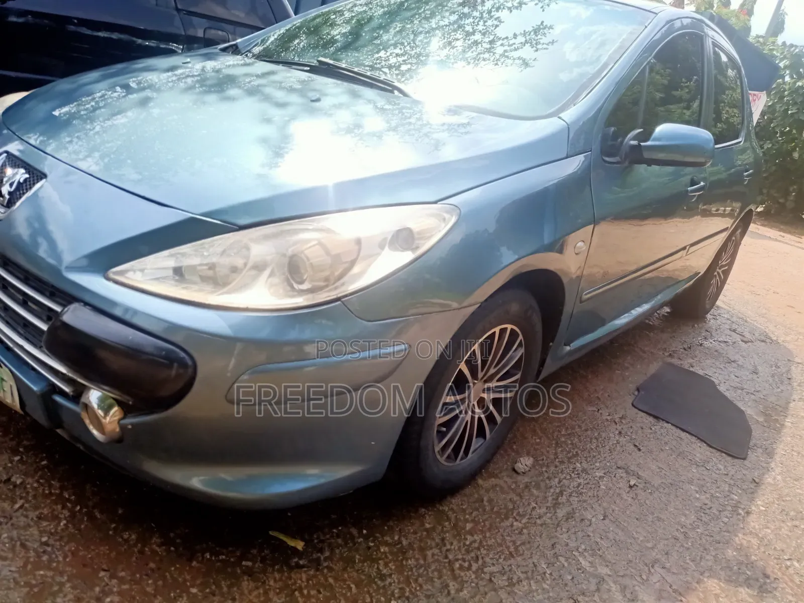 Peugeot 307 2008 Blue