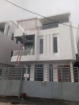 V-Xel Paint Company