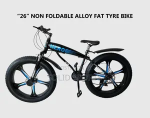 Original Big Tired Bicycle